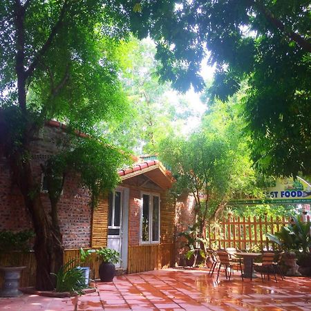 Tam Coc Green Fields Homestay Ninh Bình Kültér fotó